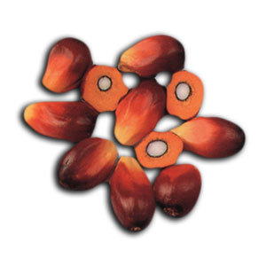 aceite laurico